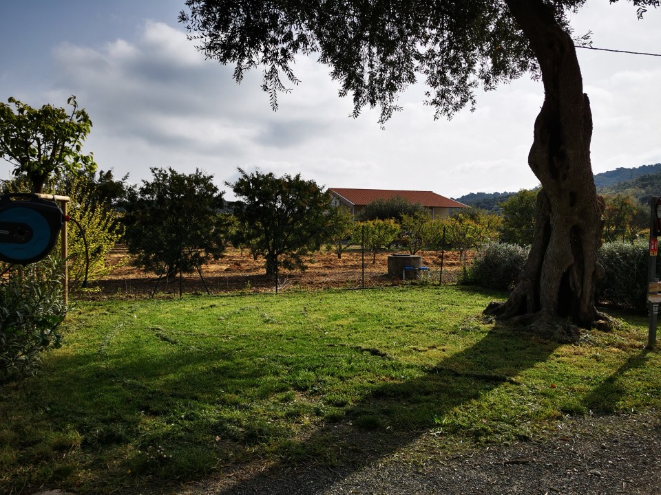 img20210402105252-copie