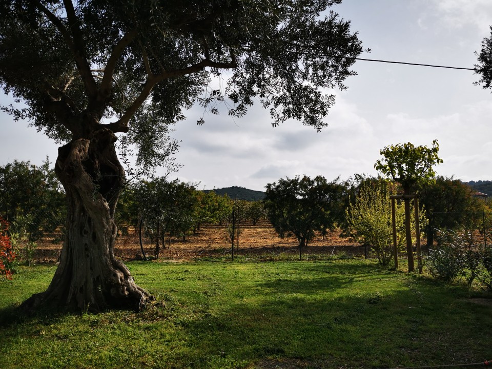 Emplacement à partir de 40 m²